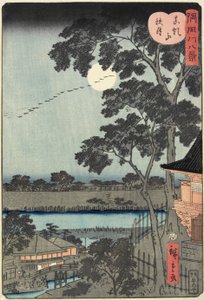 1874年11月在松山山上的秋天月亮