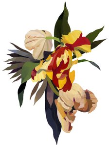 郁金香鹦鹉3 作者 井筒宏之