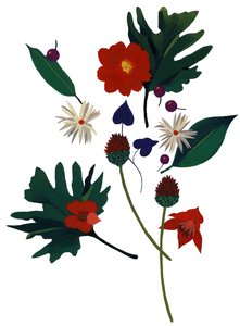 一朵让你想象圣诞节的花。 作者 井筒宏之