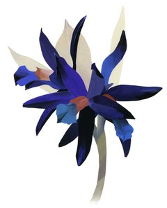 An imaginary flower with a blue base. 作者 井筒宏之