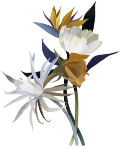 一朵想象中的花，有一个白色的底座。 作者 井筒宏之