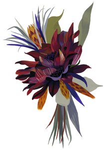 Wild Dahlia 作者 井筒宏之