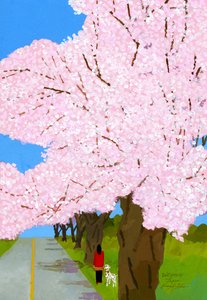 cherry trees 作者 井筒宏之