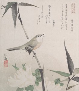 Roses and Bamboo with Nightingale, 19世纪.
