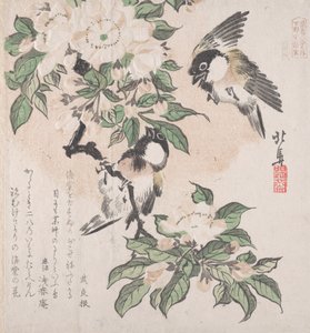 春雨集Harusame shu，第3卷：沼泽山雀和螃蟹花，约......，约1820年。