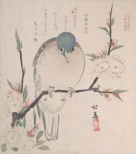 春雨集Harusame shu，卷三：山鸽桃花，约1820., 约1820.