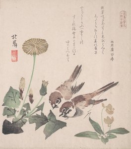 春雨集Harusame shu, vol. 3: Sparrows and Dandelions, ca. , ca. 1820.
