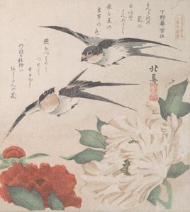 春雨集Harusame shu, vol. 3: Swallows and Peonies, ca. , ca. 1820.