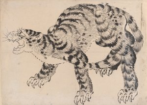 虎，19世纪。