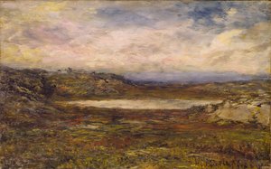 野生海岸，纽波特，约1885-1895。 作者 荷马·道奇·马丁