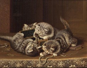 小猫