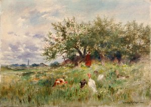 观察火鸡 作者 霍拉蒂·沃克