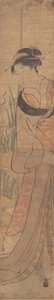年轻女士和鸢尾花园。 作者 细田英史