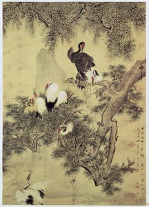 八棵红冠鹭在一棵松树上，1754年