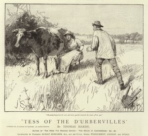 D&39;Urbervilles的苔丝