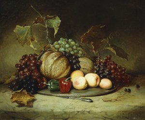 丰富的静物，1855年 作者 休·纽维尔