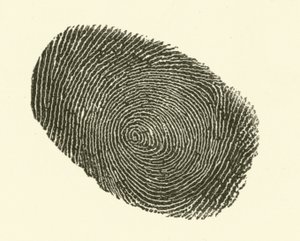 指纹（雕刻）