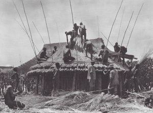 非洲：在阿马迪附近建造休息室（黑白照片） 作者 雨果·阿道夫·贝尔纳齐克