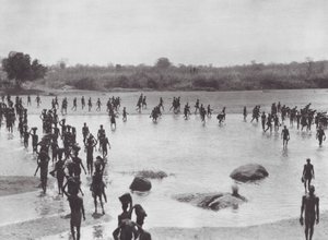非洲：莫鲁斯在阿马迪附近建桥（黑白照片） 作者 雨果·阿道夫·贝尔纳齐克