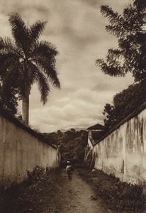墨西哥：库埃纳瓦卡，通往圣安东尼奥村的街道（黑白照片） 作者 雨果·布雷默