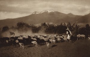 墨西哥：阿梅卡梅卡周边环境（黑白照片） 作者 雨果·布雷默