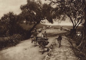 墨西哥：墨西哥山区的一条公路（黑白照片） 作者 雨果·布雷默