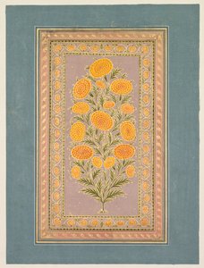 开花的金盏花，约1765年。 作者 洪哈尔二世