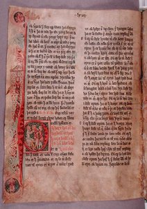 盗贼章节开头的历史性首字母 "P"，来自《Skarosbok》（《Skard之书》），约1350年（牛皮纸）。