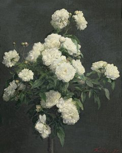 白牡丹的静物，1870年