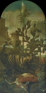 仙人掌景观中的鬣狗、羚羊和食火鸡 作者 伊格纳兹·海尼茨·冯·海因岑塔尔