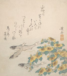鱼儿与黄花一起游泳，约1830年。