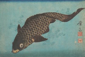 锦鲤，约1842年。