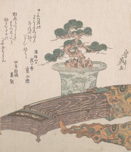 盆栽松树和古筝日本竖琴，19世纪。