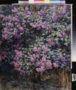 丁香花伊利亚（伊利亚）-谢苗诺维奇-奥斯特鲁霍夫（1858-1929 年）的画作，布面油画 作者 伊利亚·奥斯特鲁霍夫（Ilya Ostrouhov）
