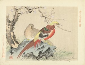 岩石上的一对雉鸡
Keinen 的花鸟素描（系列标题）
Keinen kacho gafu（物体上的系列名称） 作者 青木小三郎