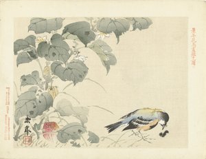 小鸟看毛毛虫
Keinen 的花鸟素描（系列标题）
Keinen kacho gafu（物体上的系列标题） 作者 青木小三郎