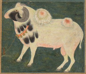 皇家公羊与金链，约 1585 年（纸面不透明水彩和金色） 作者 印度学校