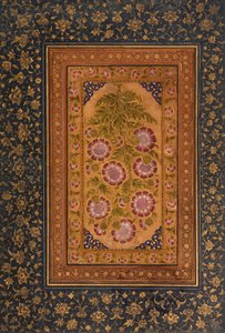 带有Stokesia的专辑页面和Abdul Rahim Khan-e Khanna的肖像，c.1800（不透明的wc＆黄金在纸上）
