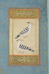 Hoopoes，c.1590（不透明的wc和黄金在纸上） 作者 印度学校