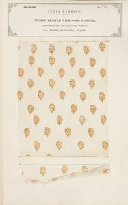 穆斯林样本印有Rajpootana国家Jeypore的金花，印度纺织品制造商收藏，John Forbes Watson，1866年出版 作者 印度学校