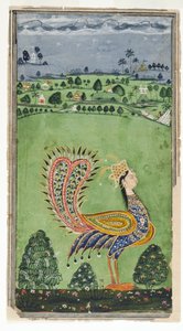神话中的孔雀与女人的头，海得拉巴，1750年 作者 印度学校