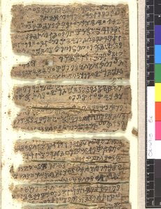 OMS OR 14915 f.5r Kharoṣṭi 的桦树皮手稿碎片 作者 印度学校