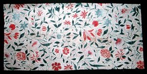 钢笔画的棉花，18世纪末（棉花）。 作者 印度学校