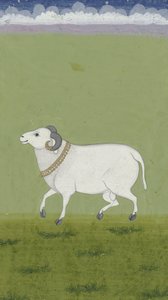 拉姆金领，1700-1799 作者 印度学校