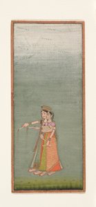 两个宫廷女士与烟花，1725年 作者 印度学校