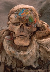 2001 年，一具新近出土的骸骨头戴羽毛头饰，这是很高地位的象征（照片） 作者 艾拉·布洛克