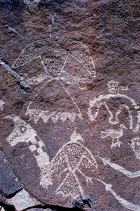 在新墨西哥州发现的 Anasazi 岩石艺术蚀刻画。