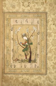 少年坐在开花的树的叉子上，1560年代 作者 伊朗大师
