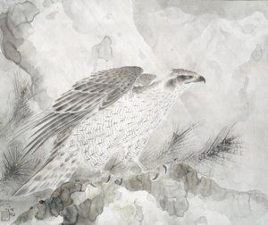 霍克（法尔克） 作者 入江孝子