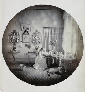 Muckross House的内部，1865年（蛋白印刷品） 作者 爱尔兰摄影师